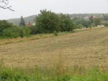 Dražba pole, Pravlov, 1289 m2