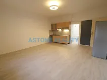 Pronájem bytu 1+kk, Praha - Nusle, Na Jezerce, 39 m2