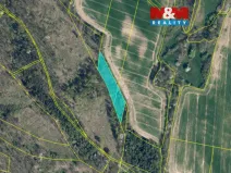 Prodej lesa, Kravaře, 4458 m2