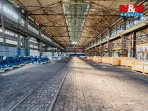 Pronájem výrobních prostor, Ostrava - Vítkovice, 1000 m2