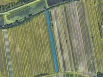 Prodej podílu pole, Hlohovec, 1567 m2