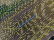 Prodej podílu pole, Radějov, 667 m2