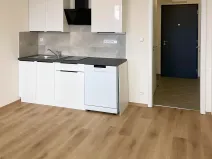 Pronájem bytu 1+kk, Praha - Dolní Měcholupy, Honzíkova, 25 m2