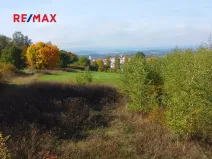 Prodej pozemku pro bydlení, Planá, 3965 m2