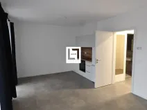 Pronájem bytu 1+kk, Olomouc, Bryksova, 39 m2