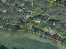 Dražba lesa, Zubrnice, 5 m2