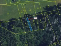 Dražba lesa, Spešov, 114 m2