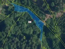 Dražba lesa, Jílové u Držkova, 967 m2