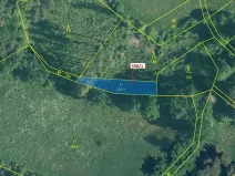 Dražba louky, Zavlekov, 272 m2