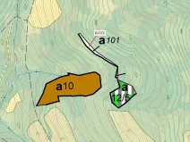 Dražba lesa, Zubrnice, 815 m2