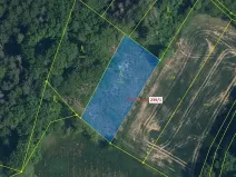 Dražba lesa, Jenišovice, 1872 m2