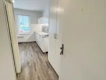 Pronájem bytu 1+kk, Brno, Hády, 18 m2