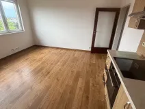 Pronájem bytu 1+kk, Prostějov, Netušilova, 34 m2