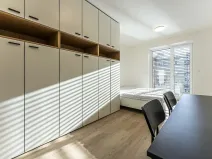Pronájem bytu 1+kk, Praha - Nusle, Na bitevní pláni, 30 m2