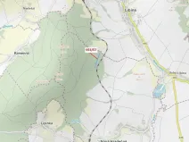 Dražba lesa, Nová Hradečná, 6750 m2