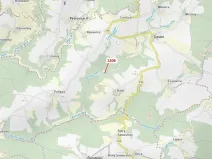 Dražba lesa, Čestín, 795 m2