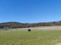 Prodej pozemku pro bydlení, Horažďovice, 2250 m2