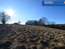 Prodej pozemku pro bydlení, Mirotice, 9991 m2