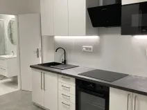 Prodej bytu 2+1, Praha - Nusle, U družstva Ideál, 47 m2