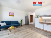 Prodej bytu 1+kk, České Budějovice - České Budějovice 6, Chelčického, 32 m2