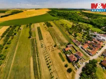 Prodej pozemku pro bydlení, Borkovany, 7835 m2