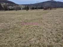 Prodej pozemku pro bydlení, Velká Bukovina, 1263 m2