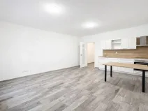 Pronájem bytu 1+kk, Liberec, U Nisy, 38 m2
