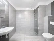 Pronájem bytu 1+kk, Liberec, U Nisy, 38 m2