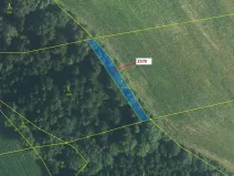 Dražba lesa, Písečná, 447 m2