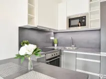 Pronájem bytu 1+kk, Olomouc, Věry Pánkové, 33 m2