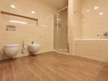 Pronájem bytu 2+kk, Brno, Anenská, 66 m2