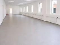 Pronájem obchodního prostoru, Nupaky, Komerční, 428 m2