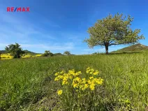 Prodej komerčního pozemku, Podsedice, 4847 m2