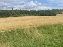 Prodej pole, Krásněves, 12 m2