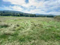 Dražba louky, Všenory, 601 m2