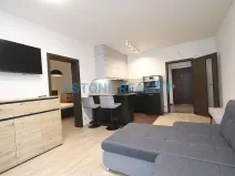 Pronájem bytu 2+kk, Praha - Žižkov, Olšanská, 59 m2