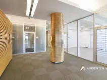 Pronájem kanceláře, Brno, 248 m2