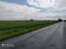 Prodej pozemku pro bydlení, Dolní Ředice, 12434 m2