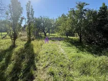 Pronájem zahrady, Olomouc - Droždín, Akátová, 1528 m2