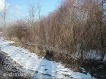 Dražba pozemku, Světec, 13949 m2