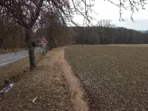 Dražba pozemku, Janovice nad Úhlavou, 4609 m2