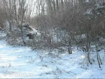 Dražba pozemku, Niměřice, 1982 m2