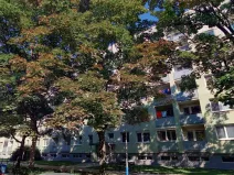 Prodej bytu 3+1, Břeclav, Na Valtické, 69 m2