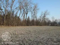 Dražba pole, Semanín, 9293 m2