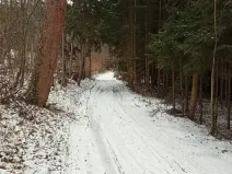 Dražba pole, Sušice, 4799 m2