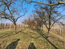 Prodej sadu/vinice, Hovorany, 1322 m2