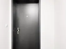 Prodej bytu 1+kk, Praha - Žižkov, Hartigova, 45 m2