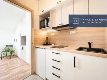 Pronájem bytu 1+kk, Brno, Anenská, 16 m2