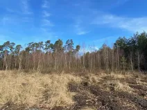 Dražba lesa, Veliny, 5028 m2