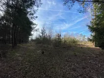 Dražba lesa, Veliny, 5028 m2